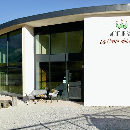 Agritur La Corte Dei Ciliegi Тренто Екстер'єр фото